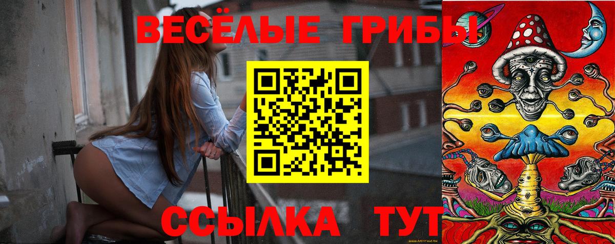 Галлюциногенные грибы Psilocybine cubensis Горячий Ключ